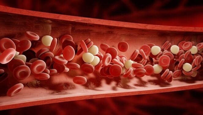 Eine Wurminfektion führt zu einer Blutvergiftung mit Giftstoffen. 