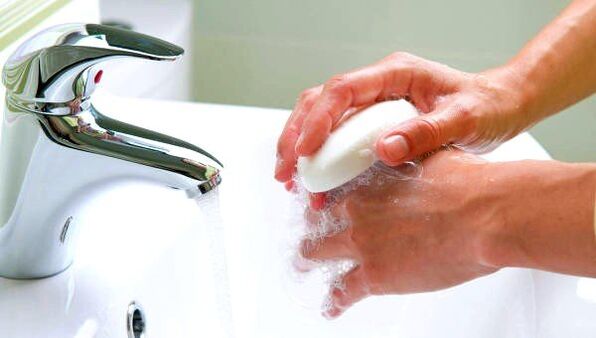 Es ist wichtig, auf Hygiene zu achten, um eine Infektion durch Würmer zu vermeiden. 